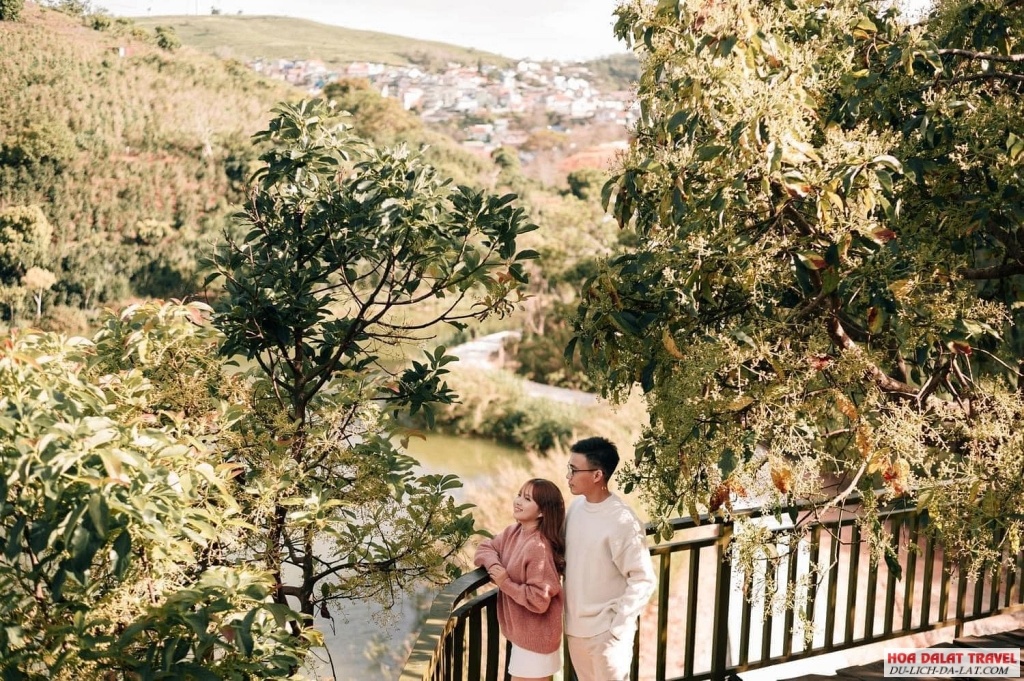 Vườn hồng Mộc Trà Farm