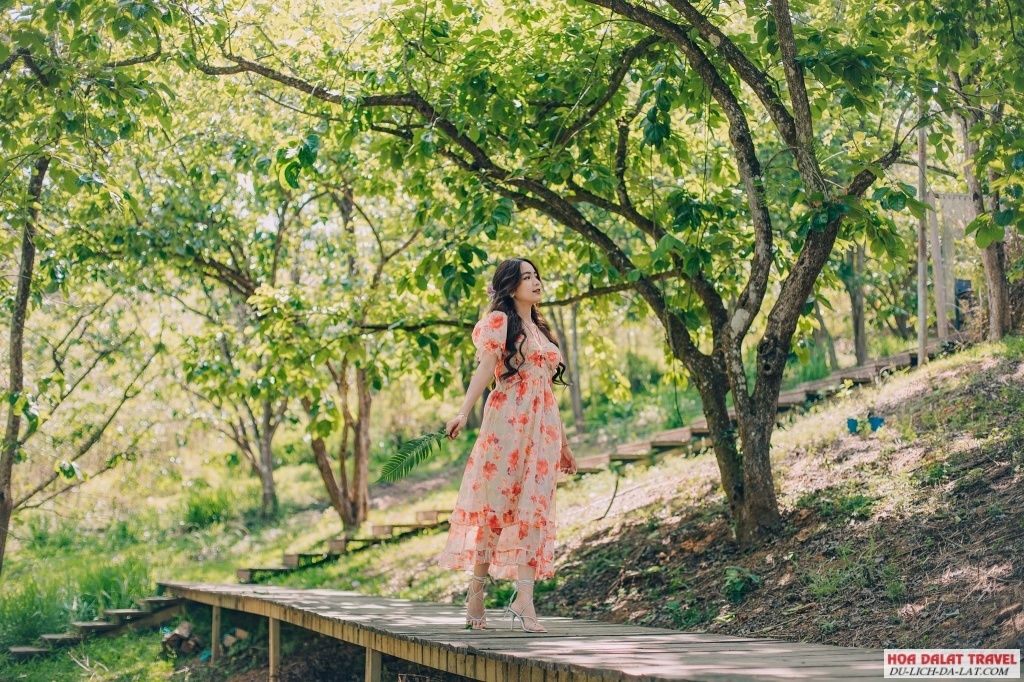 Vườn hồng Nhà Tom
