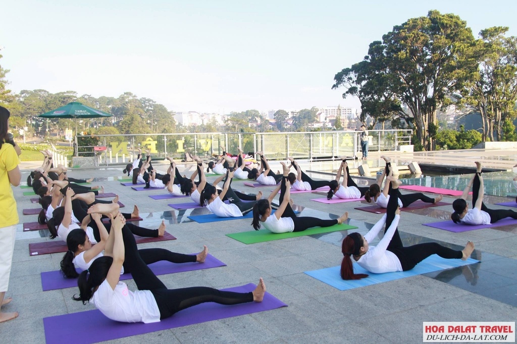 Yoga Cẩm Tú Cầu