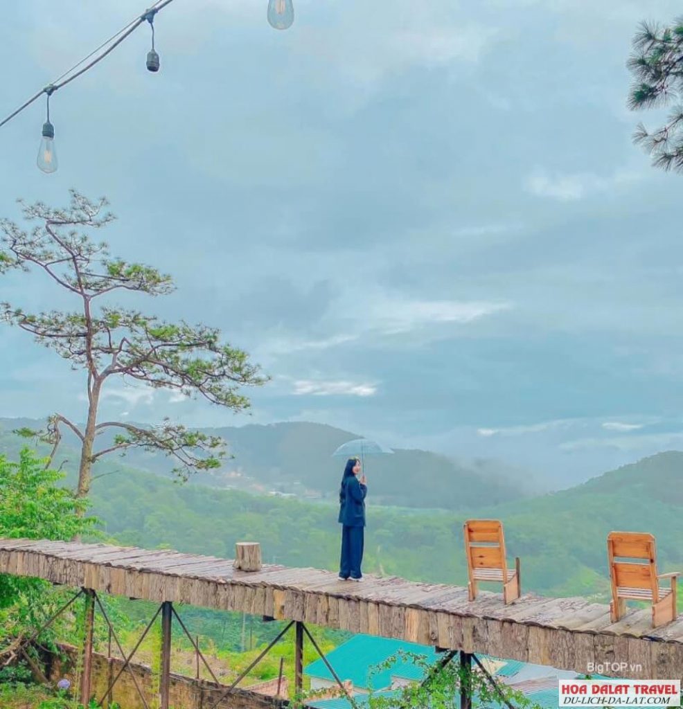 những quán cafe Đà Lạt view đồi thông cực chill