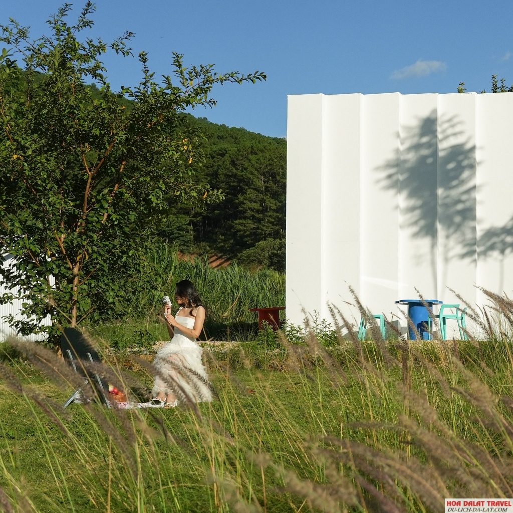 Hòa mình cùng thiên nhiên nhẹ nhàng ở Hoa May Garden