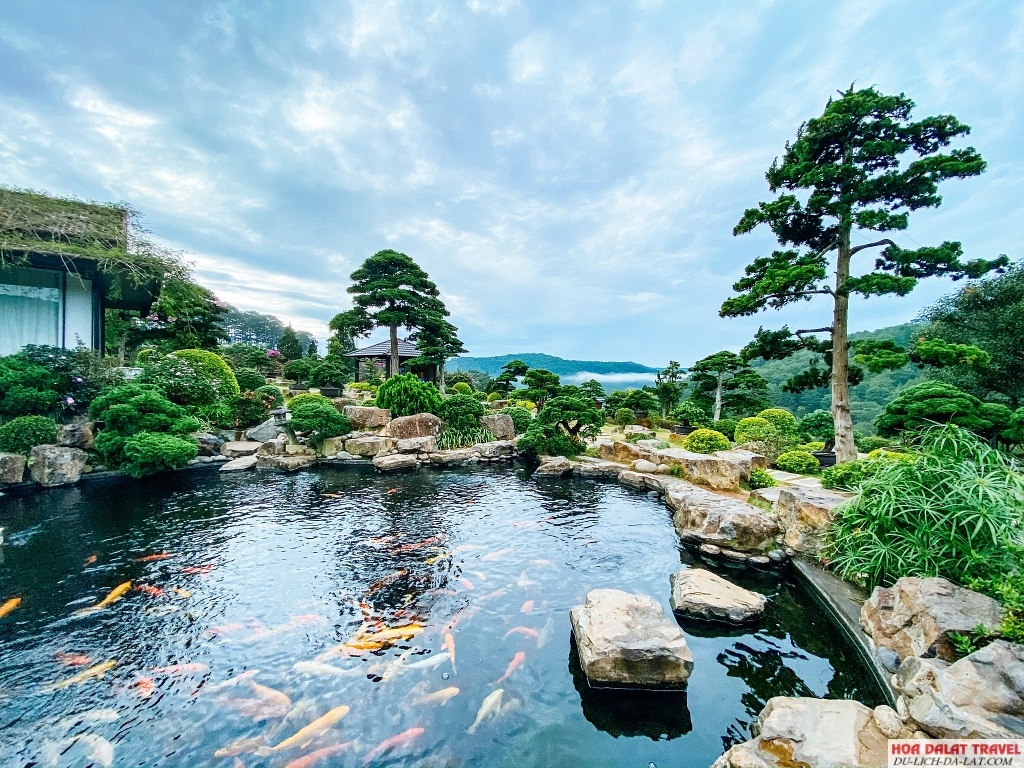 Hoàng Long Ohayo - tiểu Nhật Bản