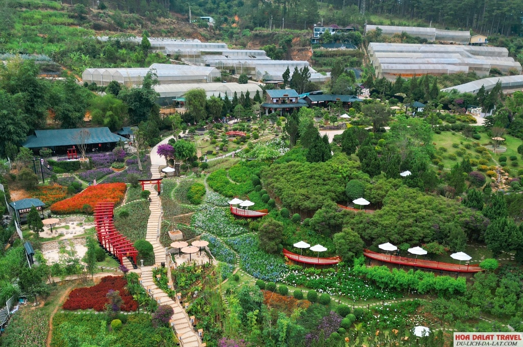 Hoàng Long Ohayo