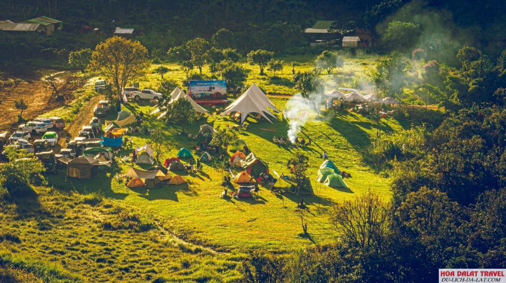 Hoạt động vui chơi ở The Florest - Hoa Trong Rừng