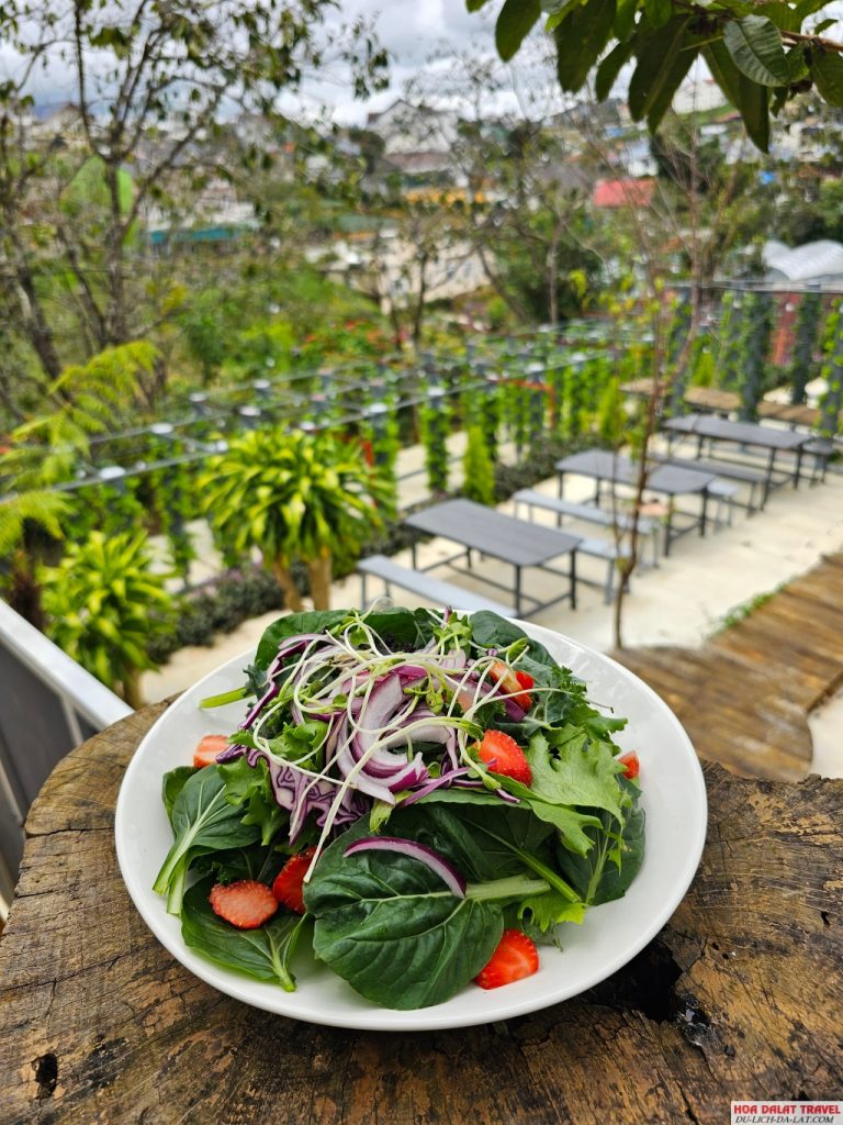 Rau khí canh mới lạ