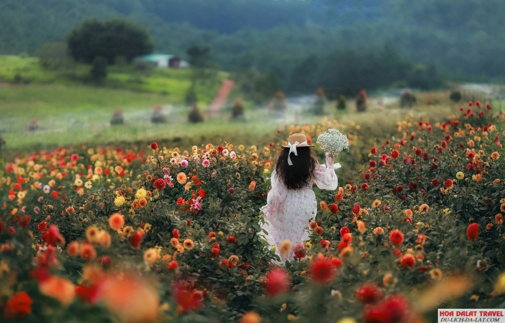 The Florest
