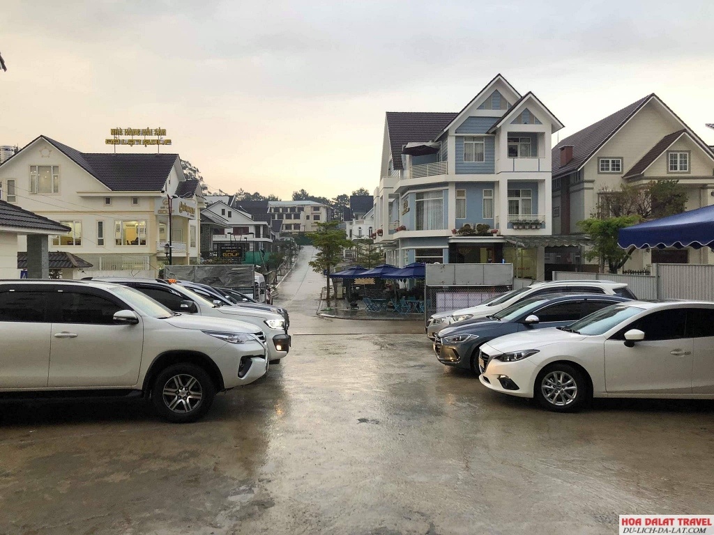 Thuê xe tự lái Amazing