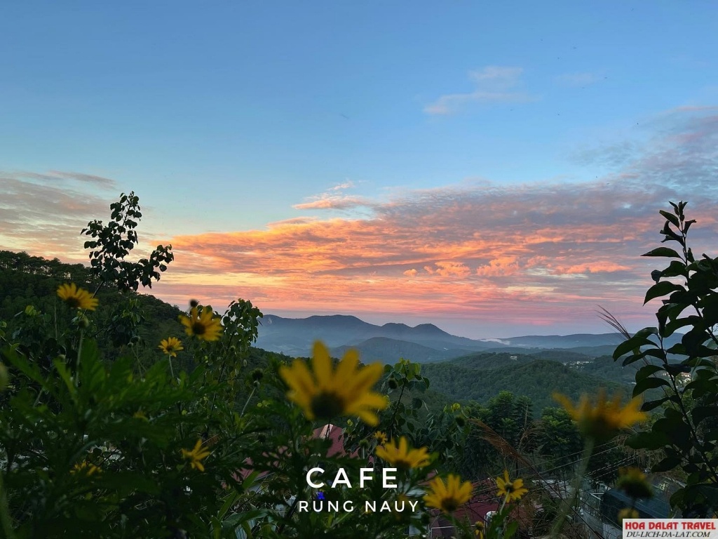 View từ Rừng Na Uy Cafe