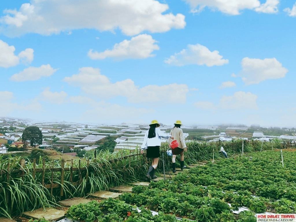 Bunny Hill Farm & Homestay