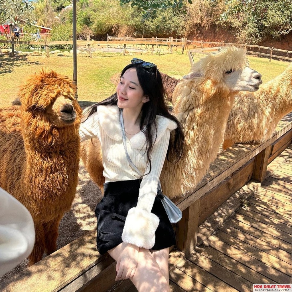 Chika Farm Đà Lạt