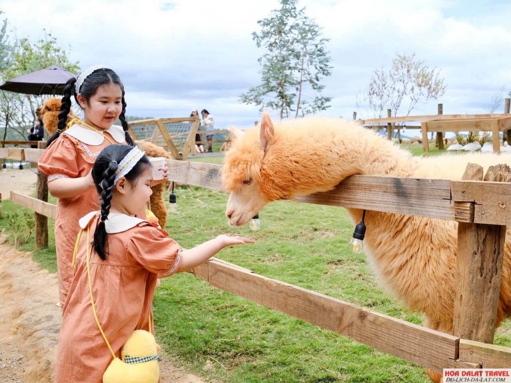 Chika Farm – tọa độ vui chơi cho các bé
