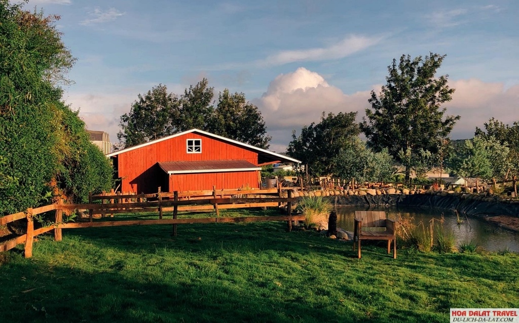 Chika Farm
