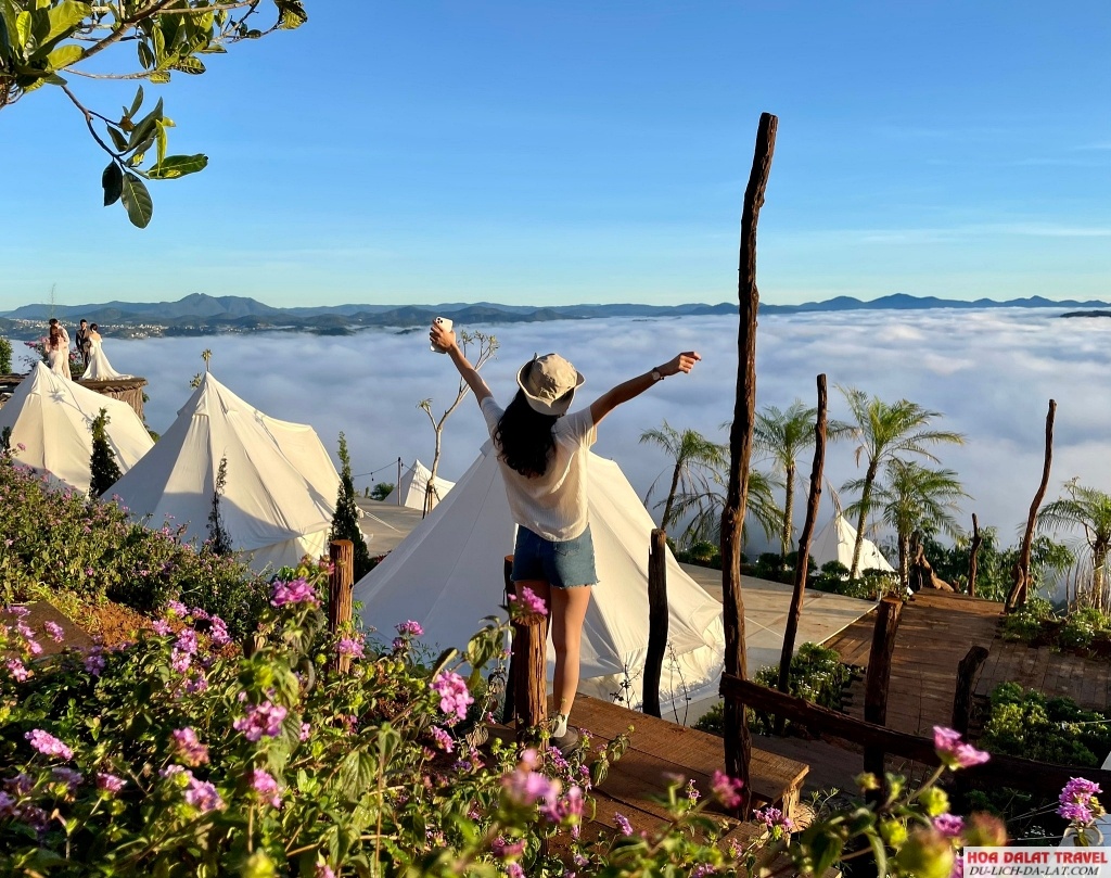 Cloud 9 Glamping