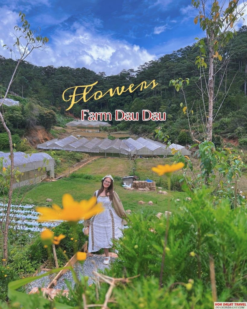 Đậu Đậu Farm