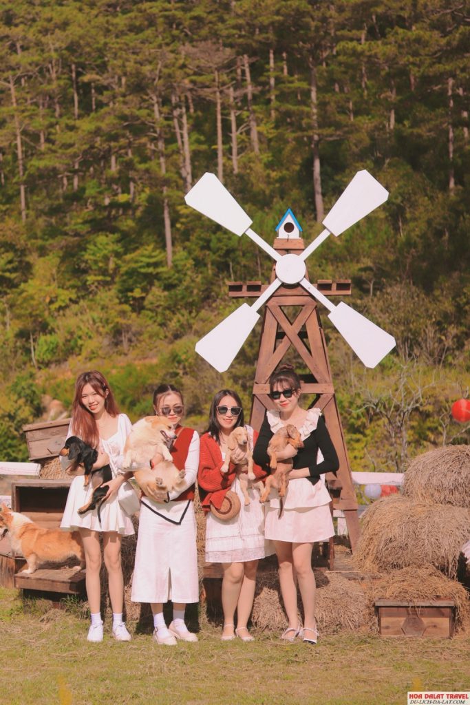 Đậu Đậu Farm ở Đà Lạt