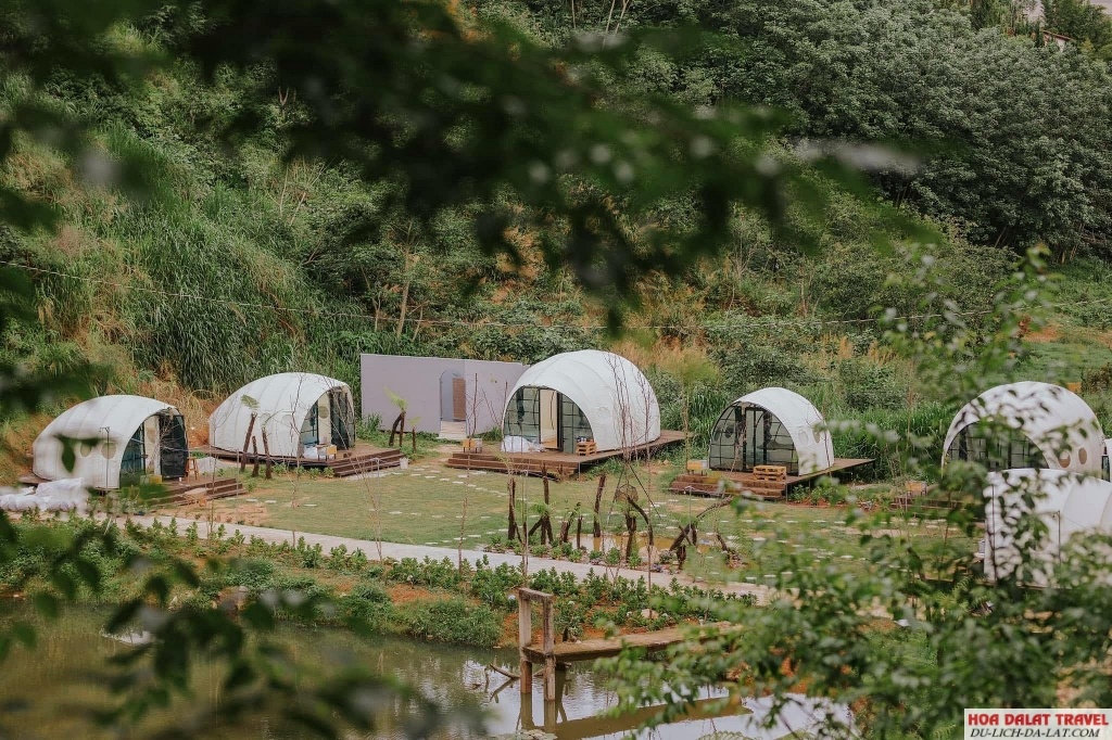 Forest Scent Glamping Đà Lạt