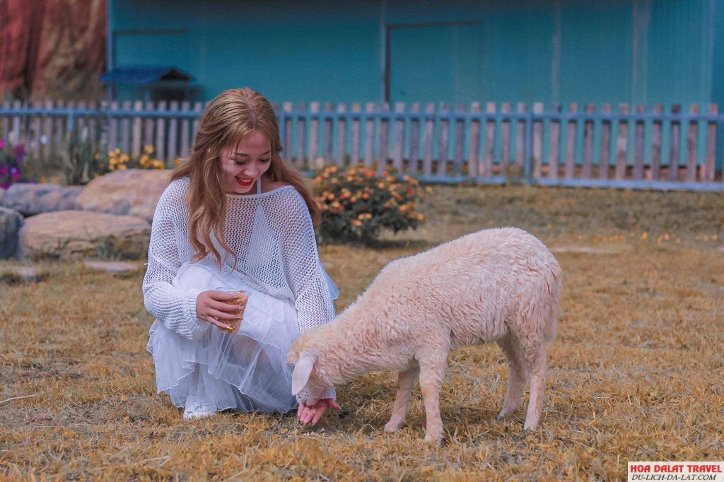 Frenzy Farm Đà Lạt
