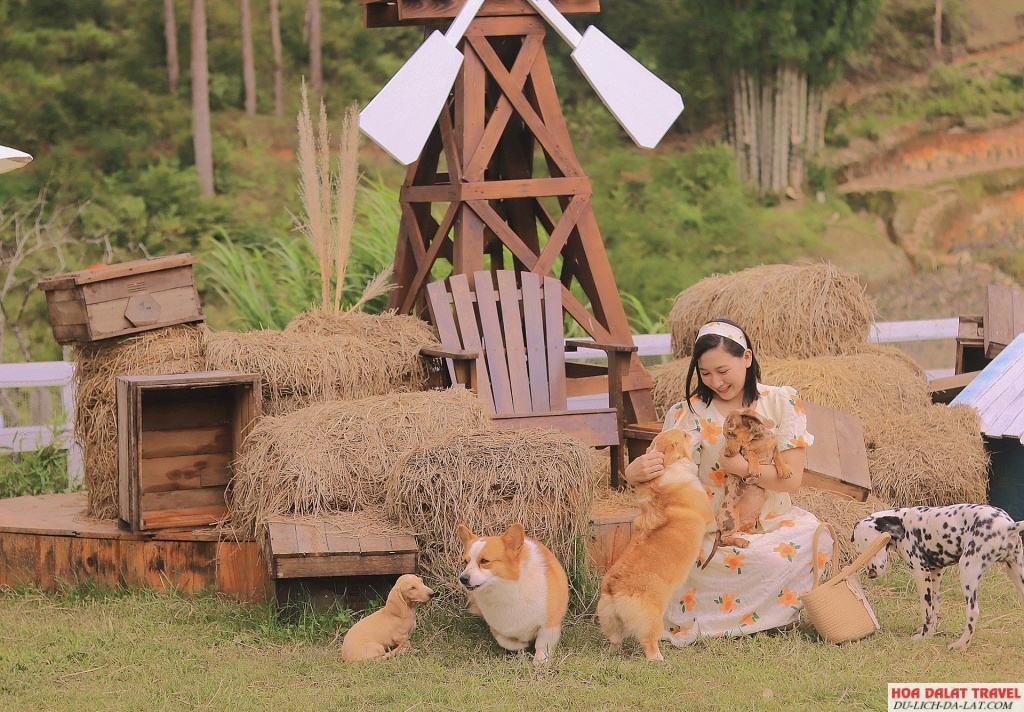 Giới thiệu chung về Farm Đậu Đậu