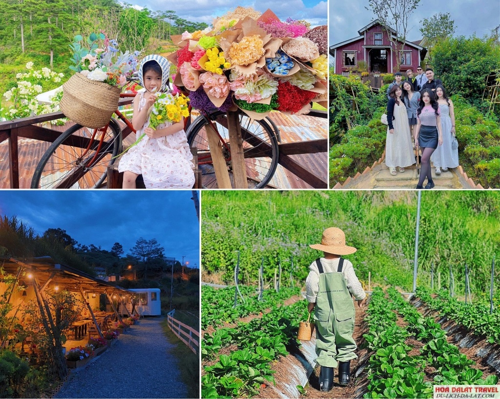 Không gian Đậu Đậu Farm Đà Lạt