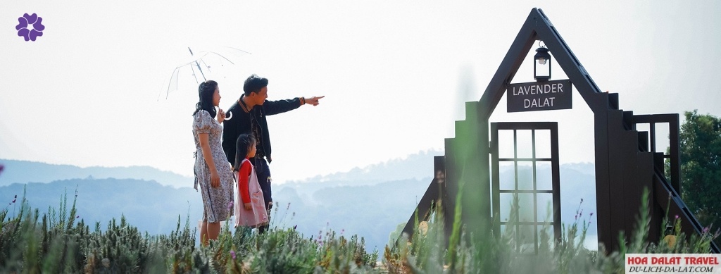 Lavender Glamping and Resorts Đà Lạt