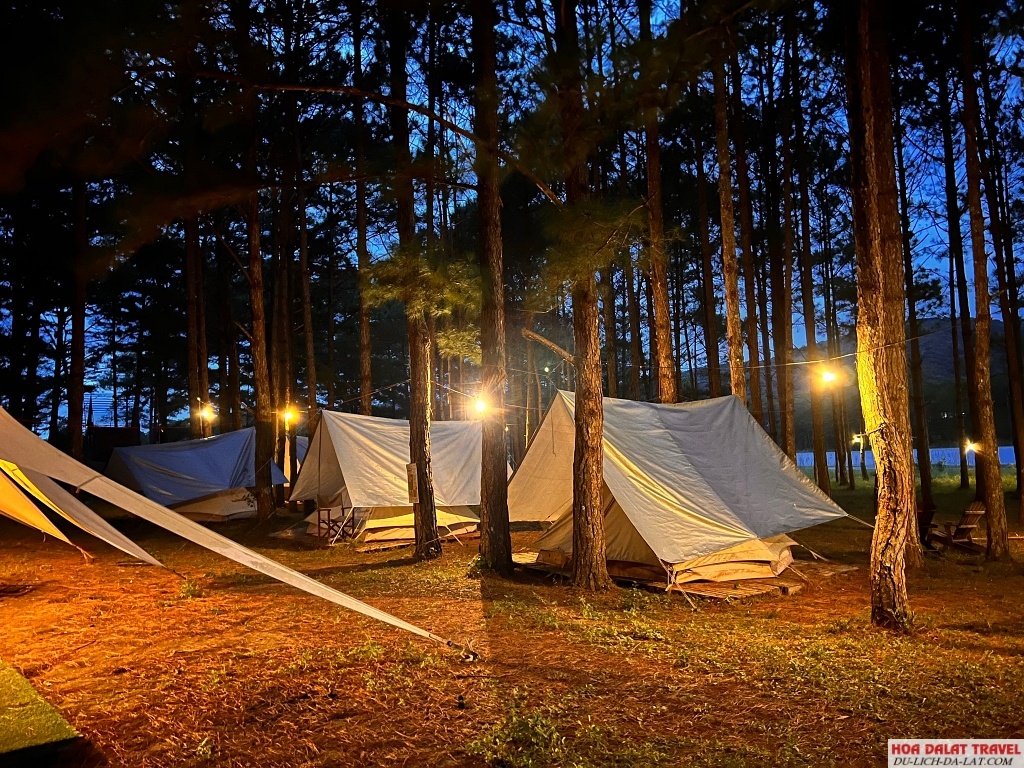 Lux Camp Đà Lạt