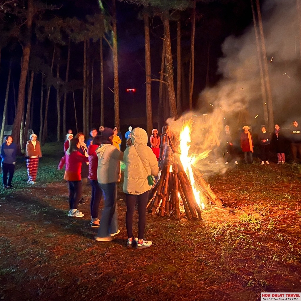 Lux Camp