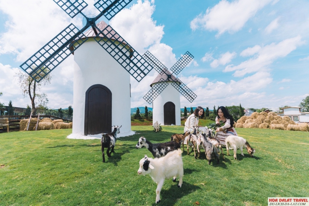 Mongo Land Đà Lạt