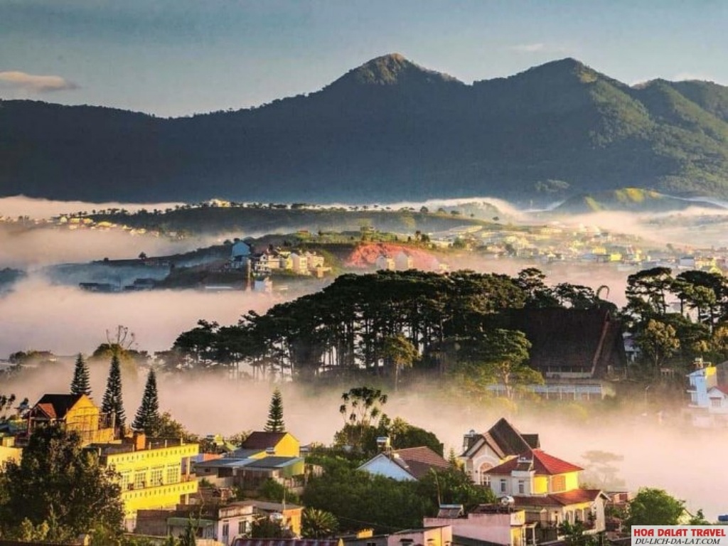 Mùa đông tại Đà Lạt