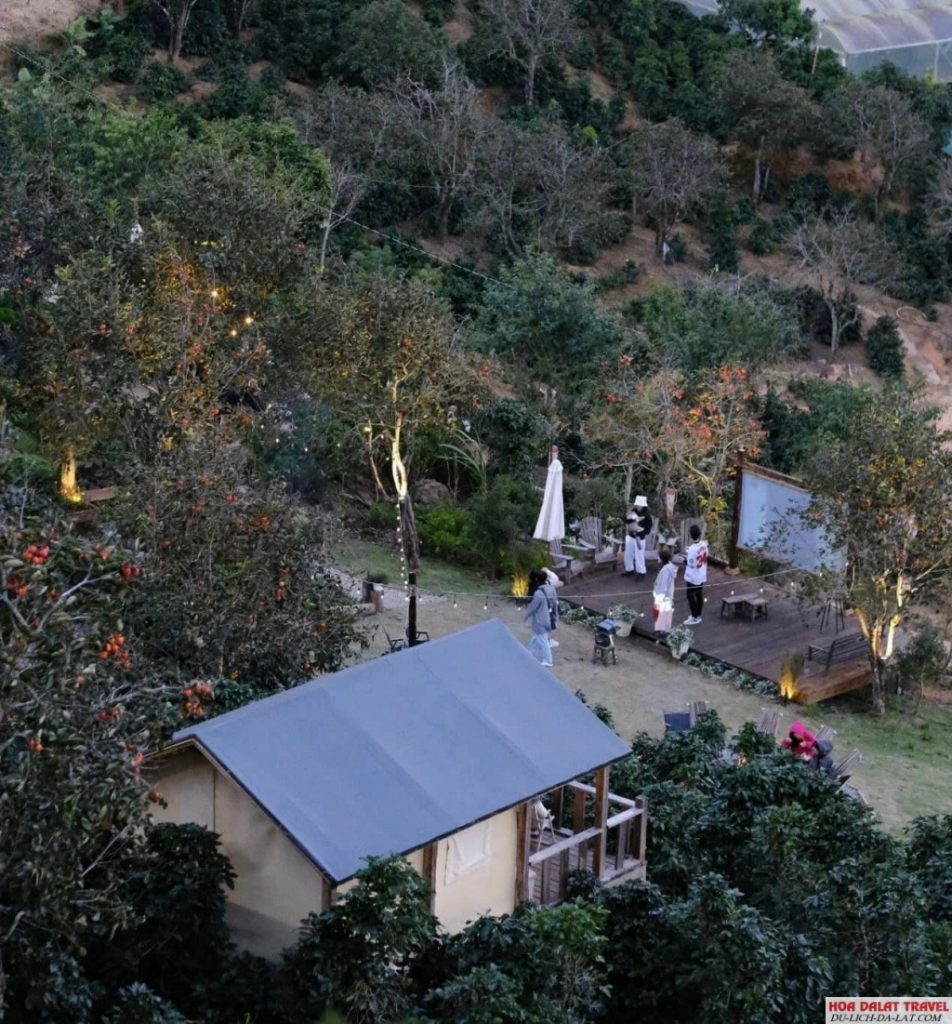 Nắng Thuỷ Tinh Đà Lạt