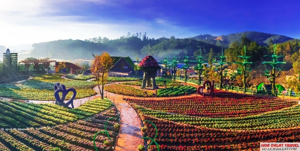 Những điều hấp dẫn và thú vị khi đi du lịch Đà Lạt Tết