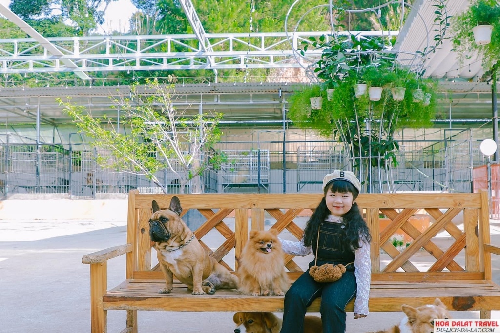 Nông Trại Cún - Puppy Farm - Đà Lạt