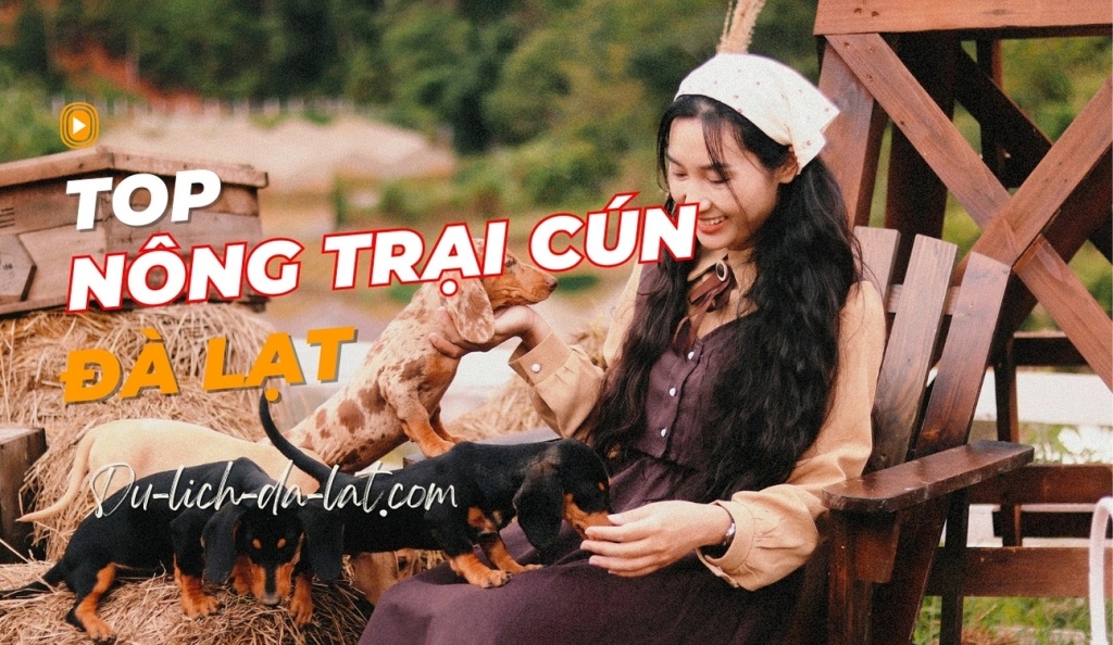 Nông trại cún Đà Lạt
