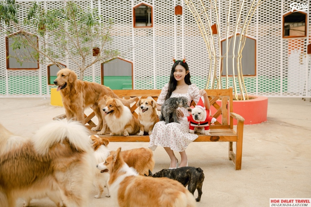 Puppy Farm ở Đà Lạt
