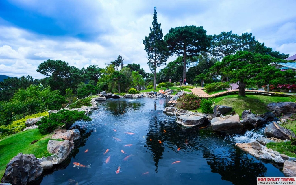Rừng lá phong Đà Lạt