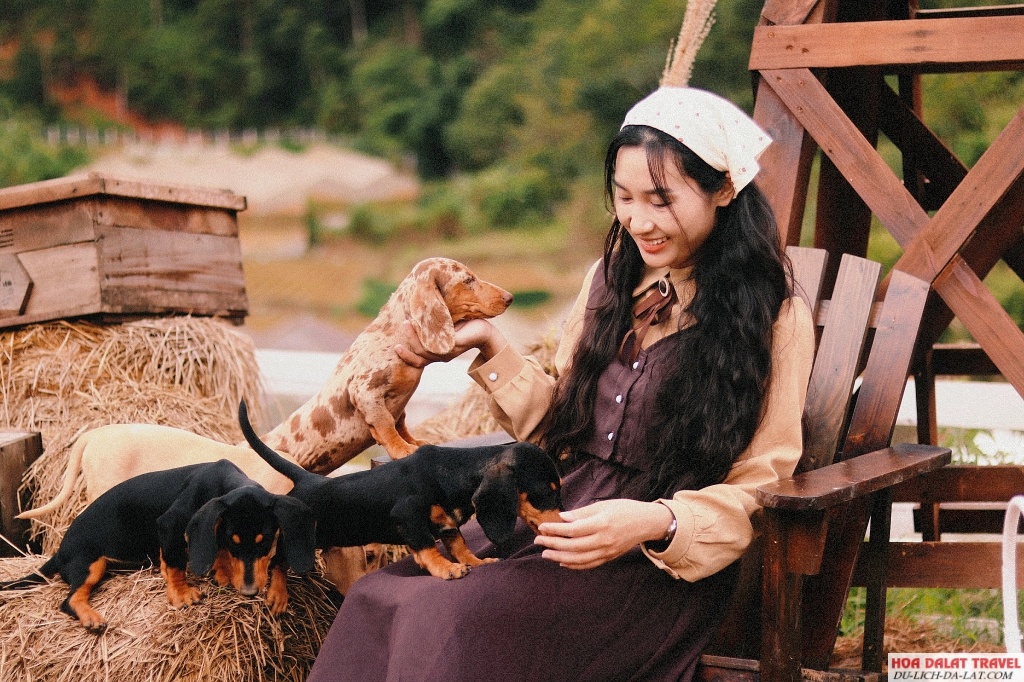 Thú cưng là một điểm thu hút khác của Farm Đậu Đậu