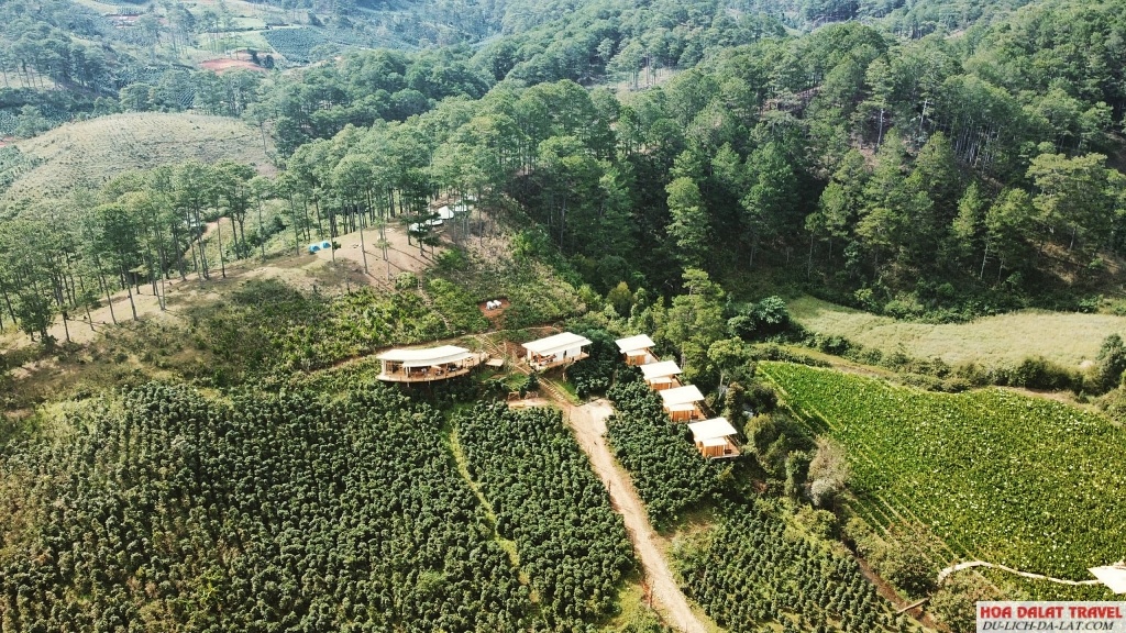 Twin Beans Farm Đà Lạt