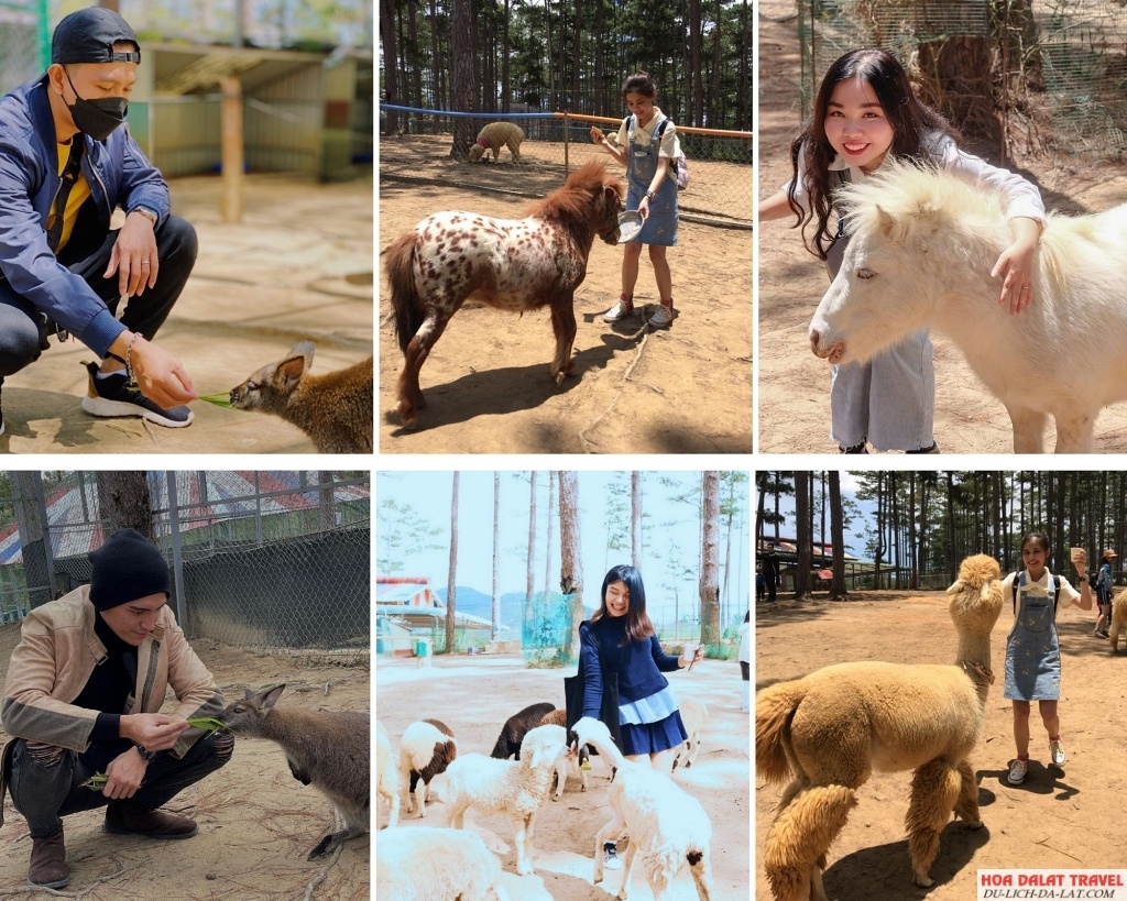 Vườn thú ZooDoo
