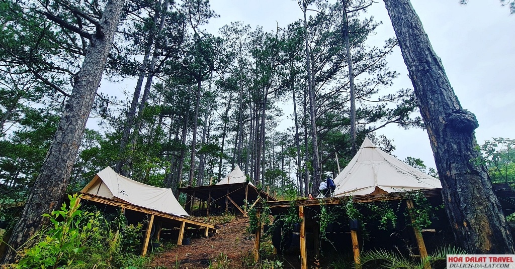 Yên Glamping ở Đà Lạt