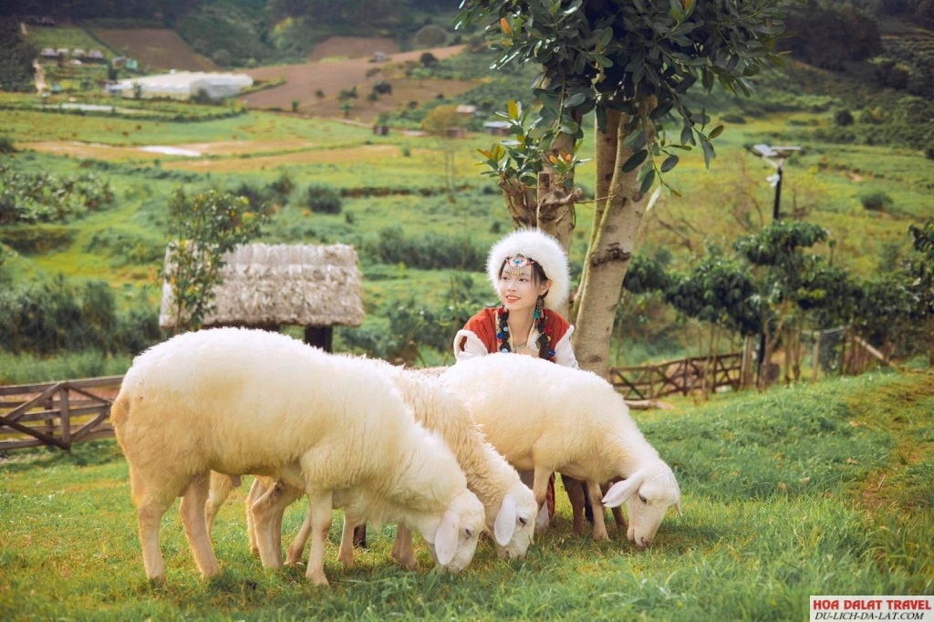 tham quan Mongo Land