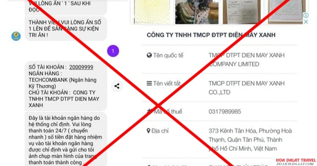 thông tin giả mạo Điện Máy Xanh