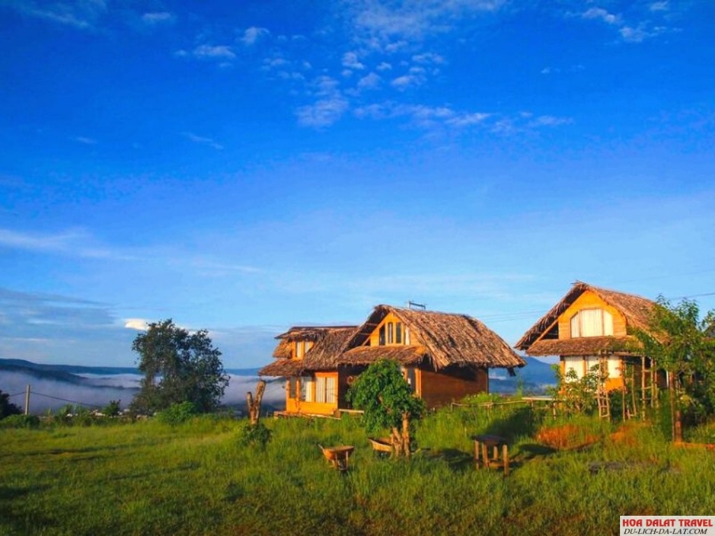 Bình Yên House