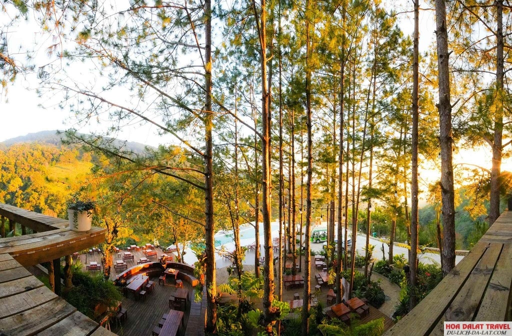 Cao Nguyên Hoa Đà Lạt