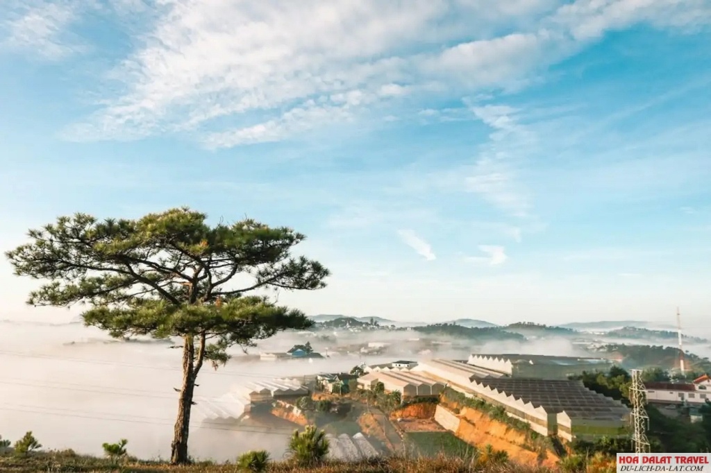 Đồi Thiên Phúc Đức