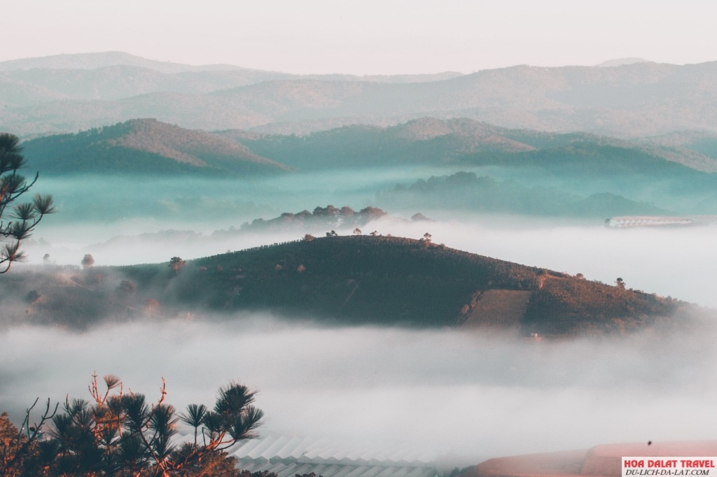 Đồi Trọc Đà Lạt