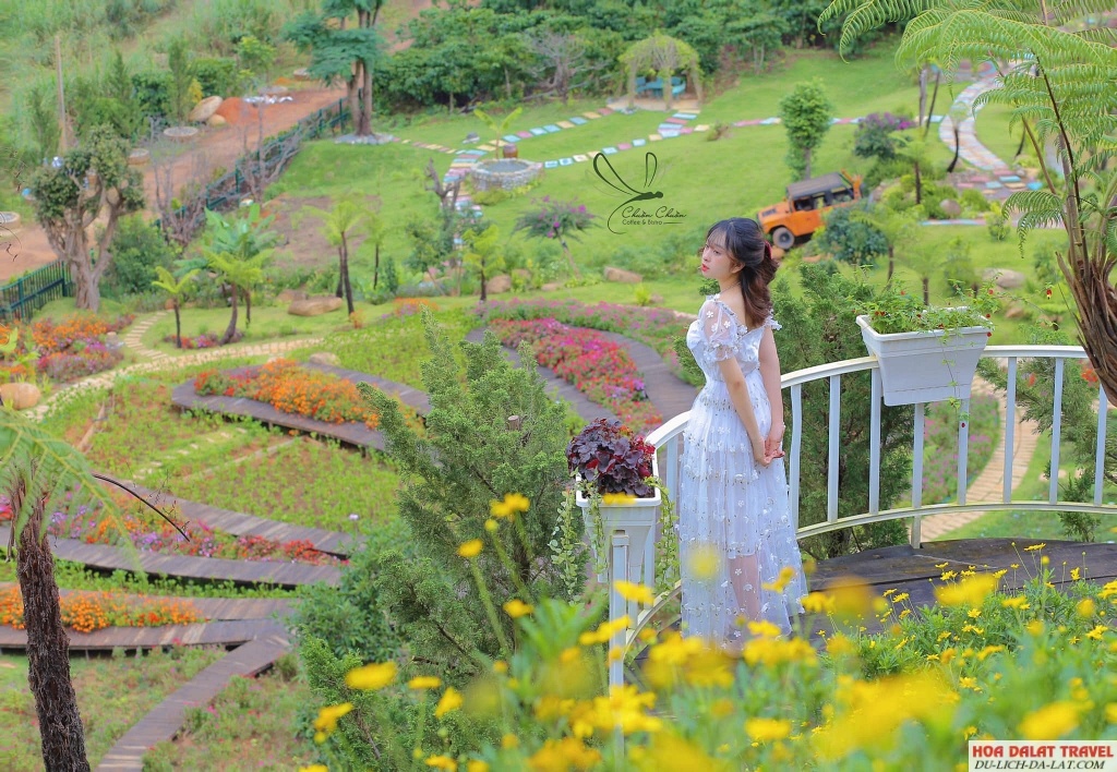 Du Lịch Chuồn Chuồn