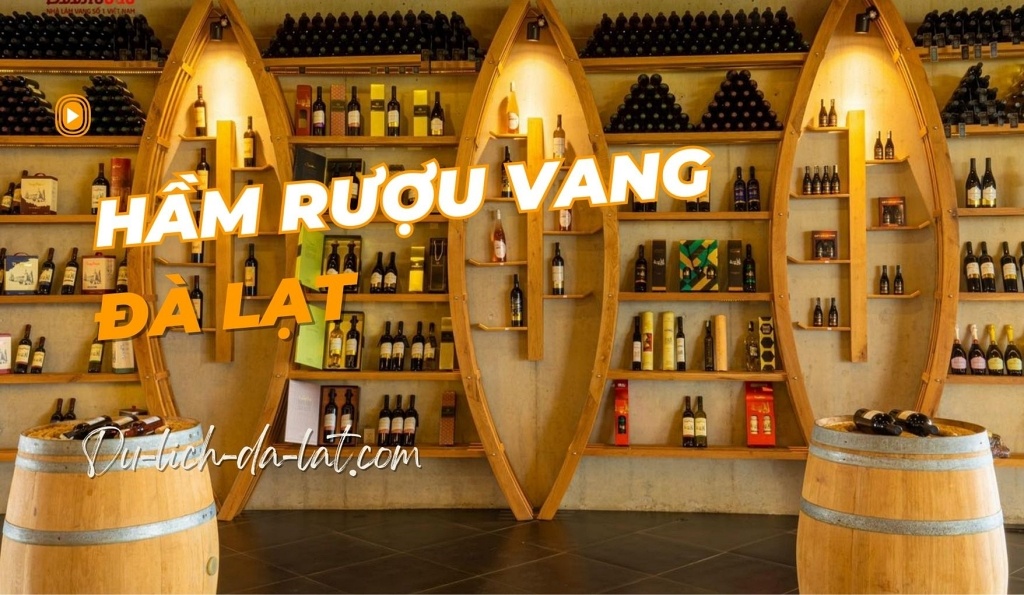 Hầm rượu vang Đà Lạt