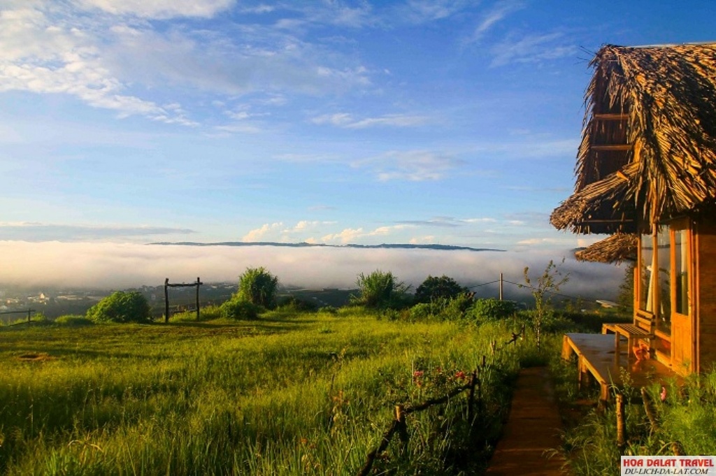 Homestay Bình Yên House