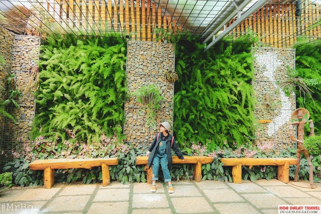 Không gian của quán