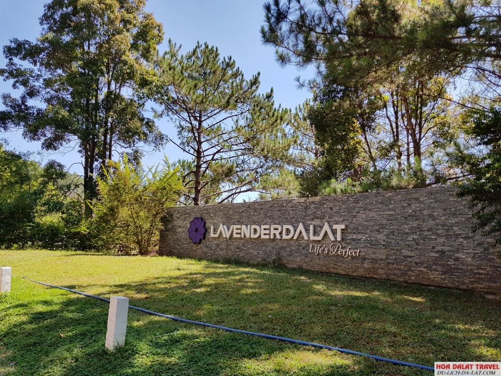 Khu du lịch Lavender Đà Lạt