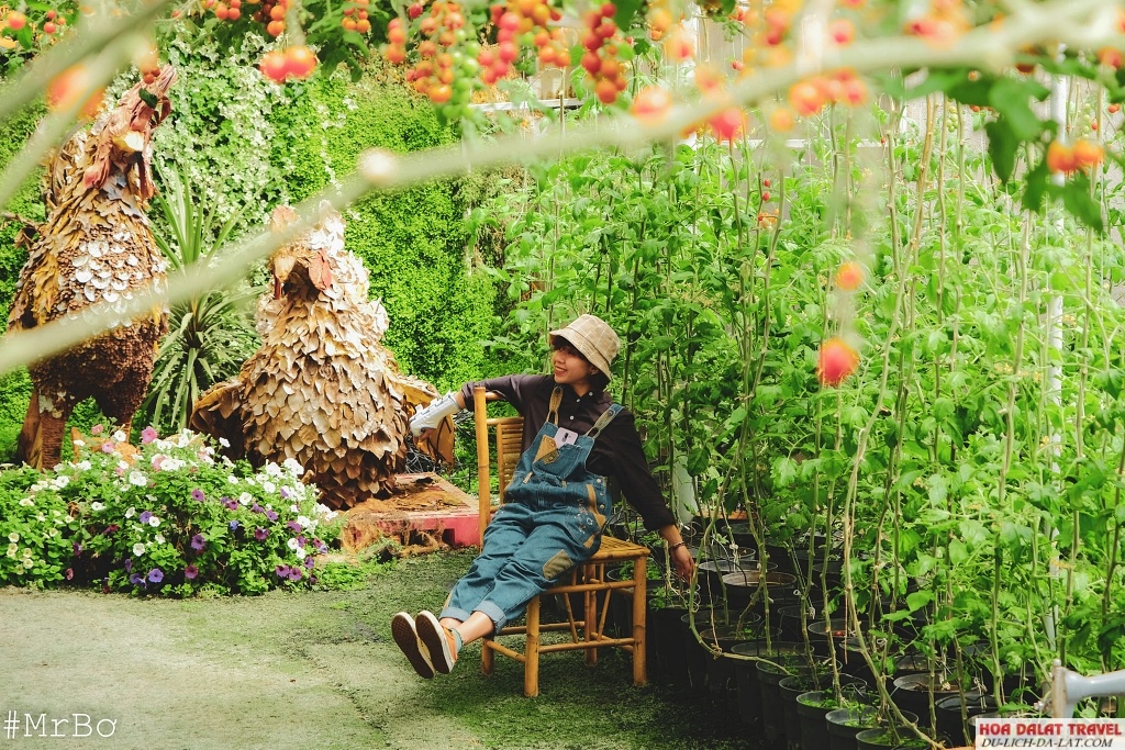 Khu vực ngoài trời